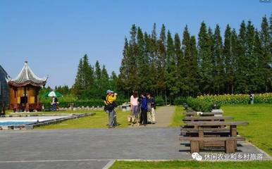 四个休闲农业案例分析,看清规划细节上的成功!_旅游_网