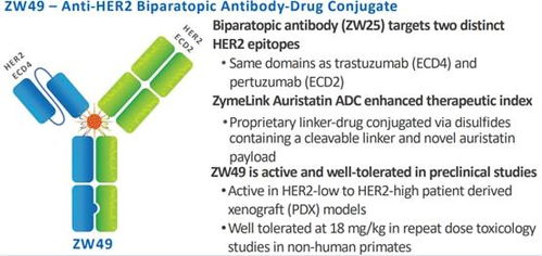 双抗adc药物领军企业zymeworks有何魔力